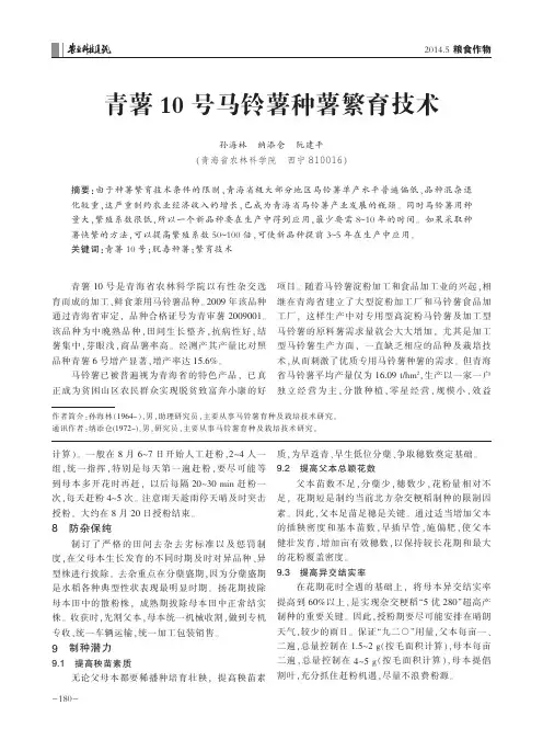 青薯10号马铃薯种薯繁育技术