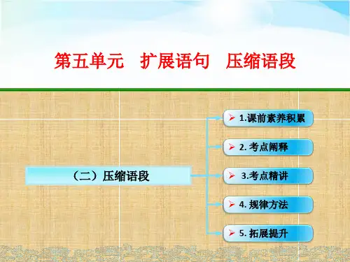 高考语文一轮复习压缩语段名师公开课省级获奖课件(29张)(全国)
