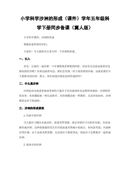 小学科学沙洲的形成(课件)学年五年级科学下册同步备课(冀人版)