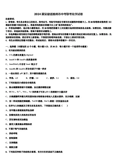 2024届安徽省滁州市中考联考化学试卷含解析