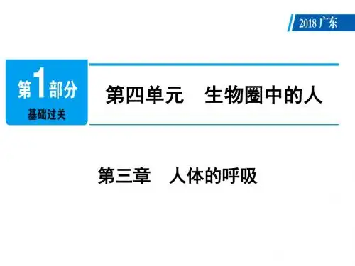 广东省中考生物复习课件：第4单元 第3章