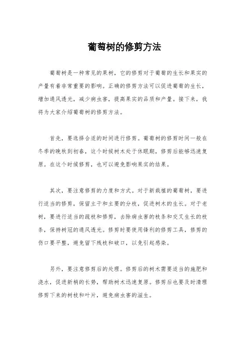 葡萄树的修剪方法