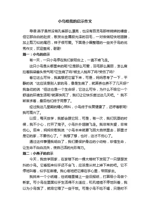 小鸟给我的启示作文
