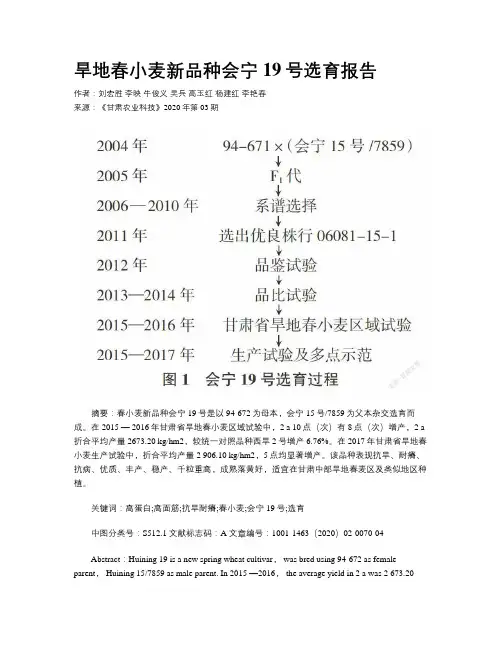旱地春小麦新品种会宁19号选育报告 