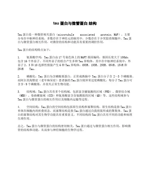 tau蛋白与微管蛋白 结构