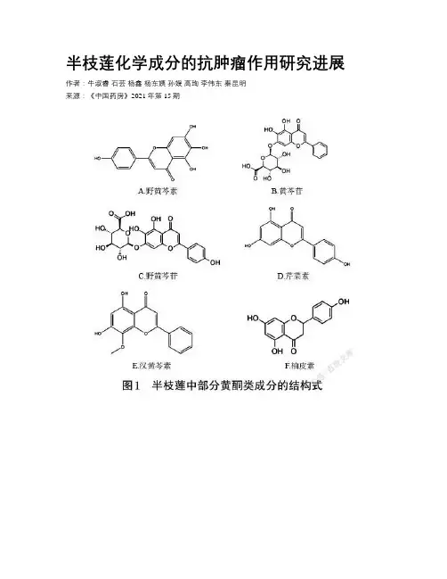 半枝莲化学成分的抗肿瘤作用研究进展