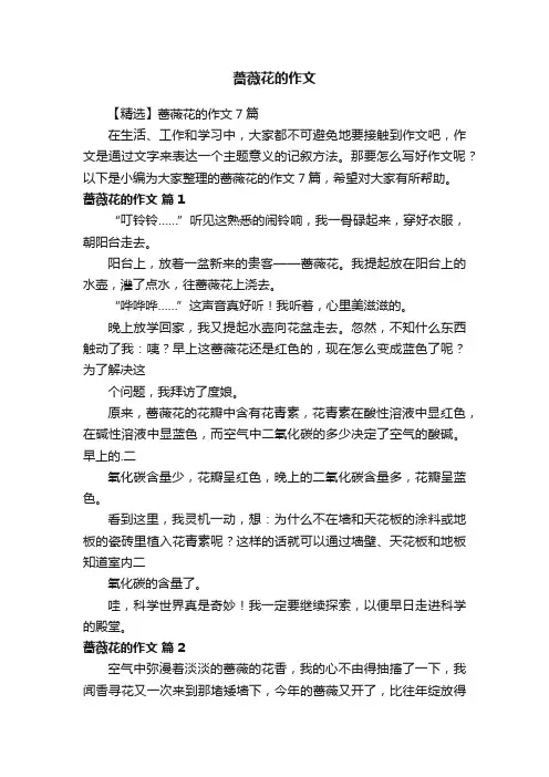 蔷薇花的作文