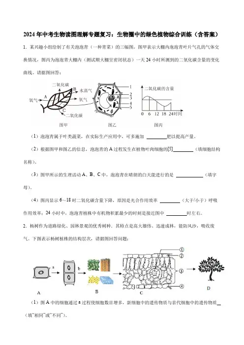 2024年中考生物读图理解专题复习：生物圈中的绿色植物综合训练(含答案)
