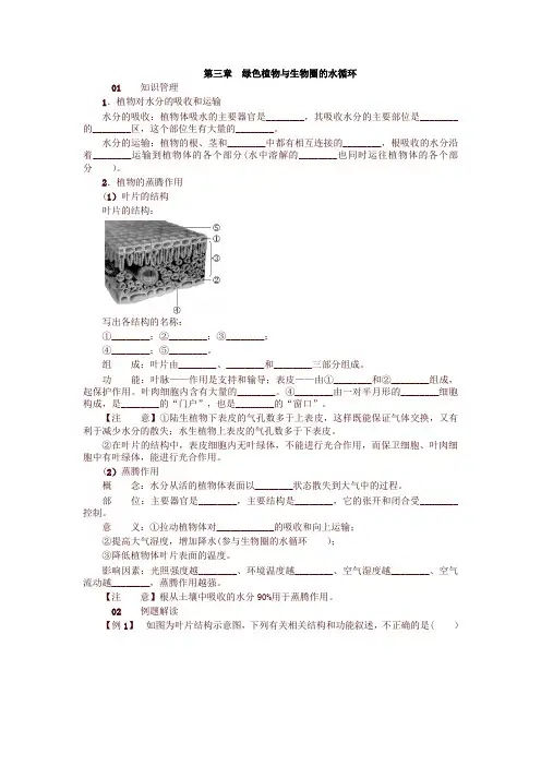 最新人教版七年级生物上册第三章 绿色植物与生物圈的水循环 试题及答案