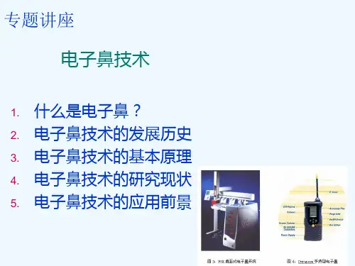 电子鼻技术