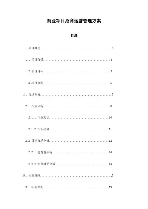 商业项目招商运营管理方案