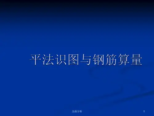 平法识图与钢筋算量(高教知识)