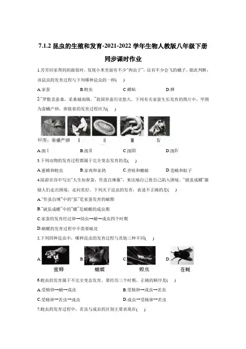 2021-2022学年生物人教版八年级下册 昆虫的生殖和发育同步课时作业   (含解析)