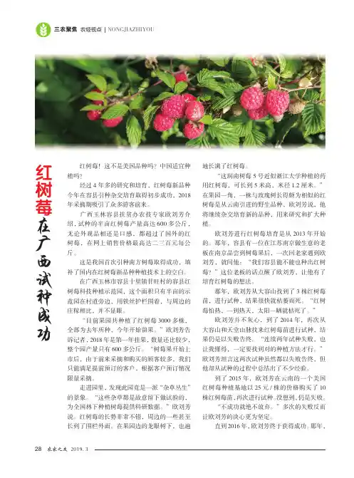 红树莓在广西试种成功