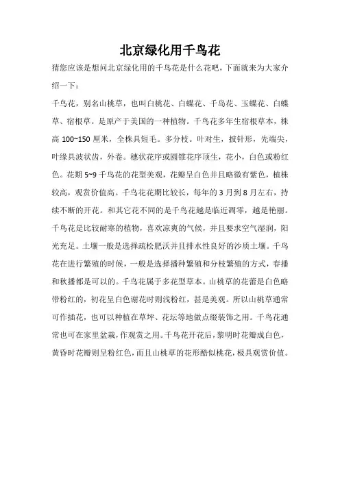 北京绿化用千鸟花