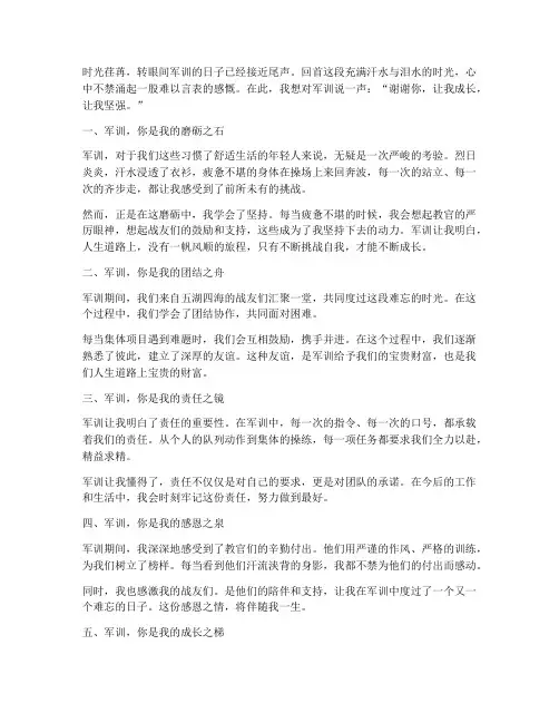 军训我想对你说个人感言