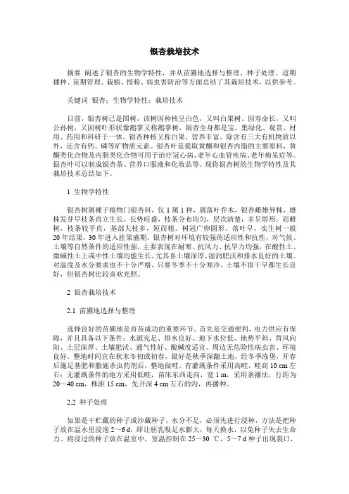 银杏栽培技术
