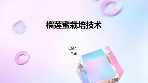 榴莲蜜栽培技术