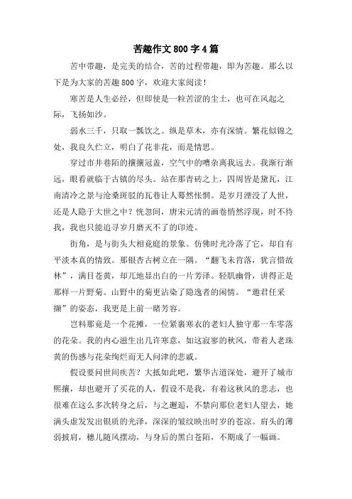 苦趣作文800字4篇