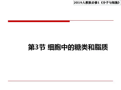 2.3 细胞中的糖类和脂质 【新教材】人教版(2019)高中生物必修1课件