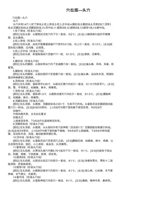 穴位图—头穴