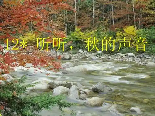 12听听秋的声音 ppt