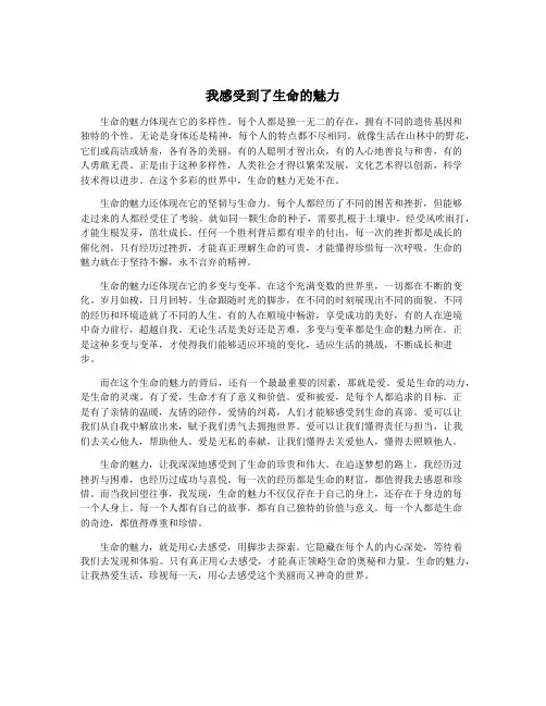 我感受到了生命的魅力