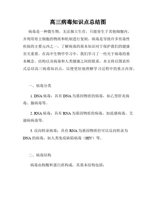 高三病毒知识点总结图
