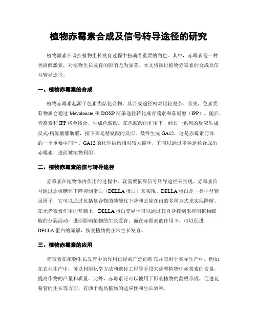 植物赤霉素合成及信号转导途径的研究