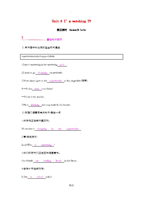 七年级英语下册 Unit 6 I’m watching TV(第3课时)Section B(1a-1
