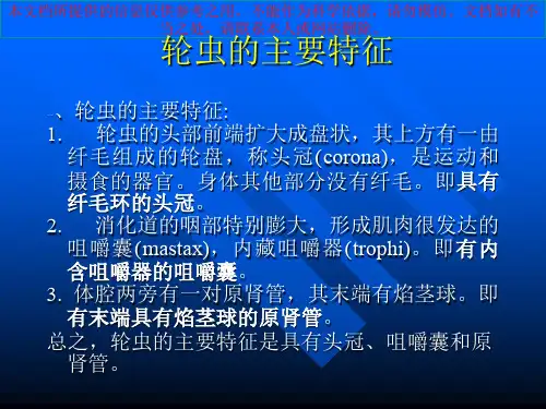 轮虫专题知识宣讲培训课件