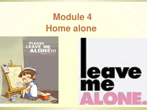 外研版英语九年级上册Module 4 Unit 2课件
