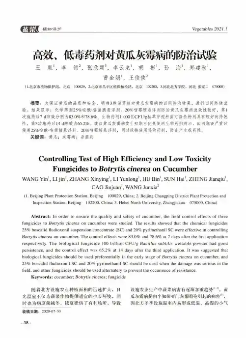 高效、低毒药剂对黄瓜灰霉病的防治试验