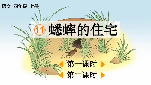 小学语文四年级上册《蟋蟀的住宅》教学课件