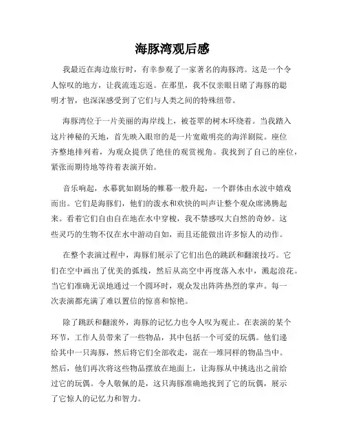 海豚湾观后感