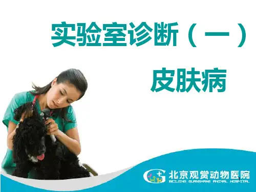 宠物医院实验室诊断(一)皮肤病检查PPT课件