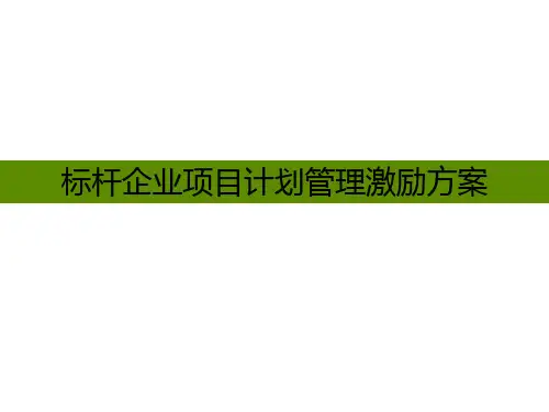 房地产标杆企业项目运营激励方案