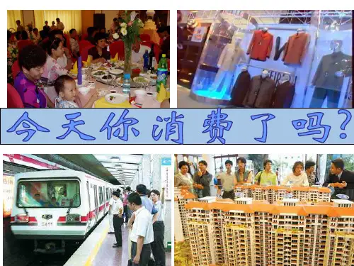 《经济生活》第三课第二框树立正确的消费观ppt(1)详解