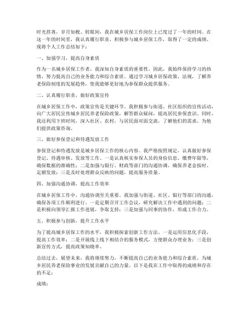 城乡居保_个人工作总结