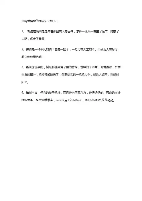 形容香樟树的优美句子
