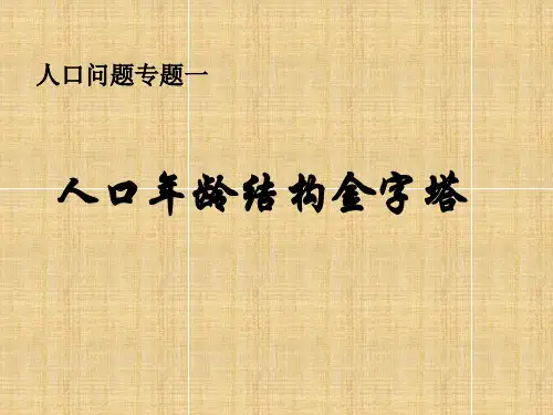 人口年龄结构金字塔 (1)