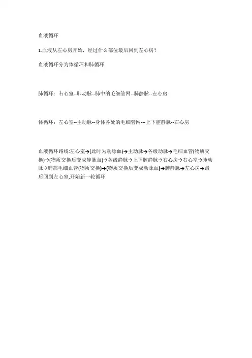 血液循环图片版