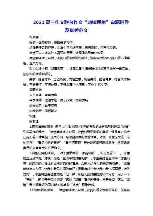 2021高三作文联考作文“滤镜现象”审题指导及优秀范文