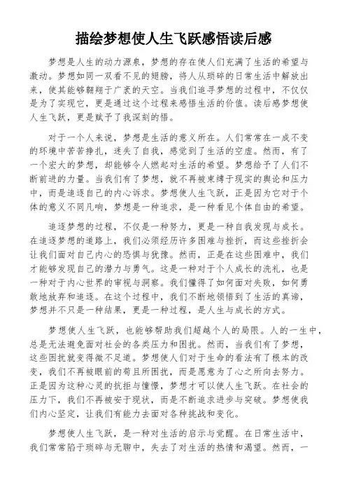描绘梦想使人生飞跃感悟读后感