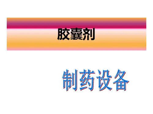 胶囊培训资料
