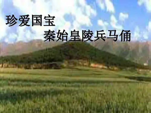 人教版四年级美术：《珍爱国宝——秦始皇陵及秦兵马俑》课件2.ppt