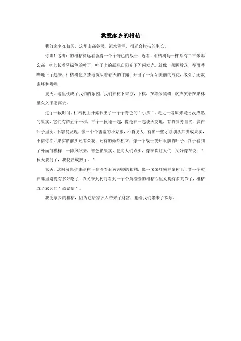 我爱家乡的柑桔