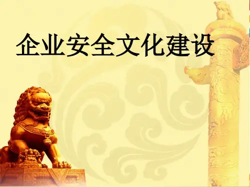 《安全文化》PPT课件