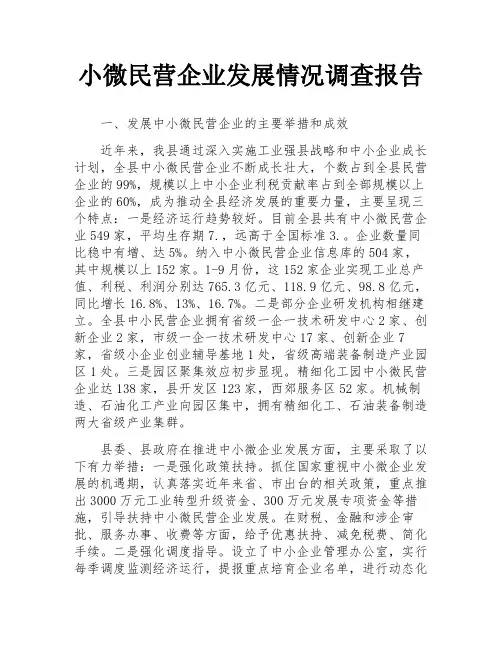 小微民营企业发展情况调查报告