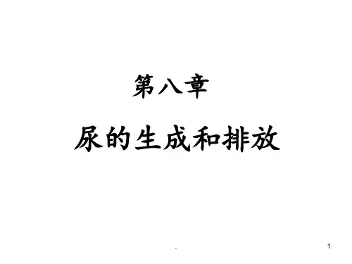 第八章-尿的生成与排放PPT课件